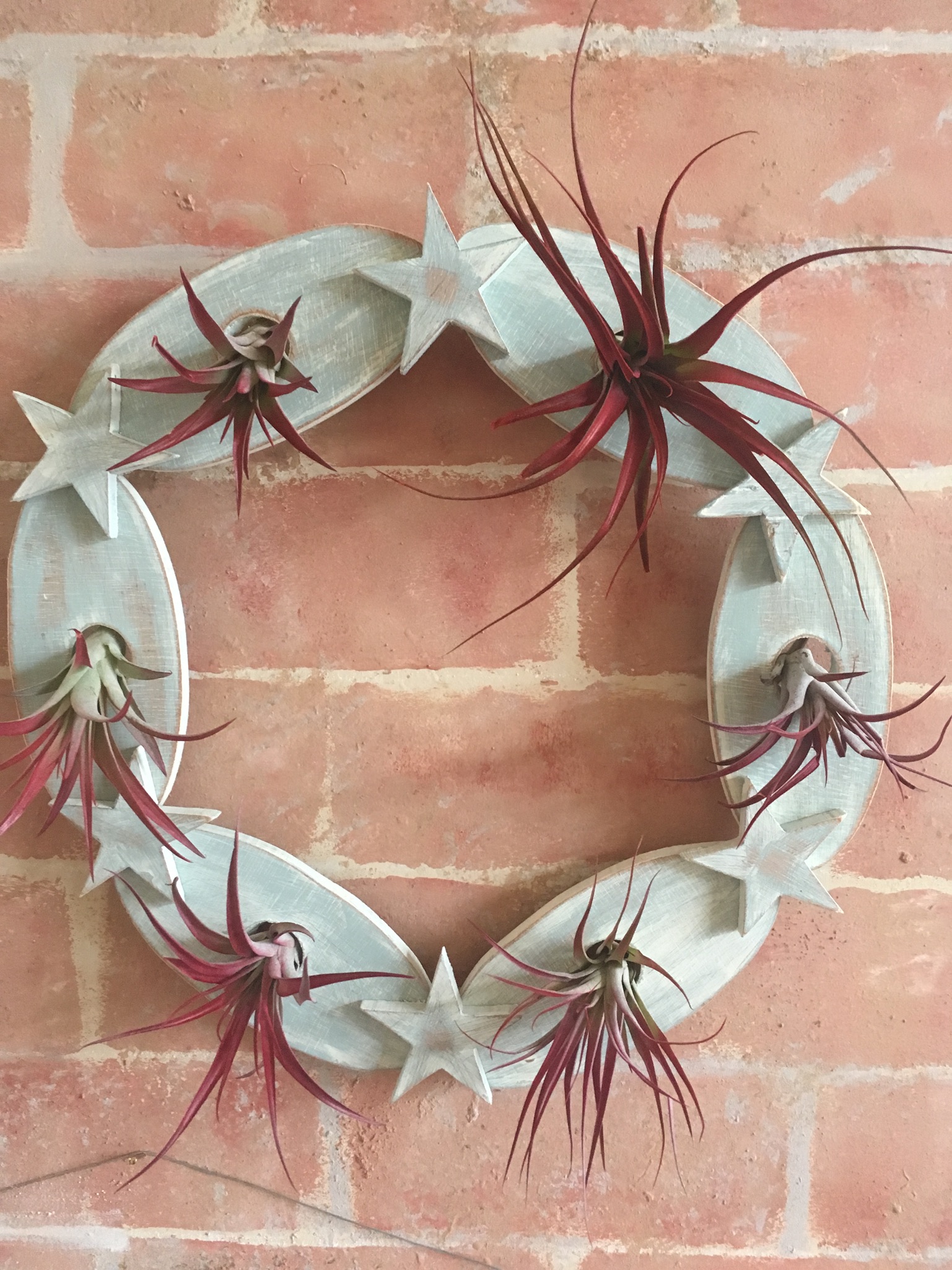 Wood Projects:  Air plant wreath with chalk paint on plywood scraps