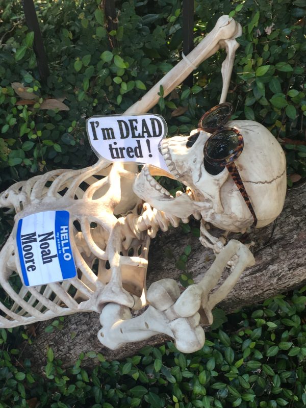 Halloween in NOLA… It’s kind of a Big Deal. NOLA Bubble… New Orleans