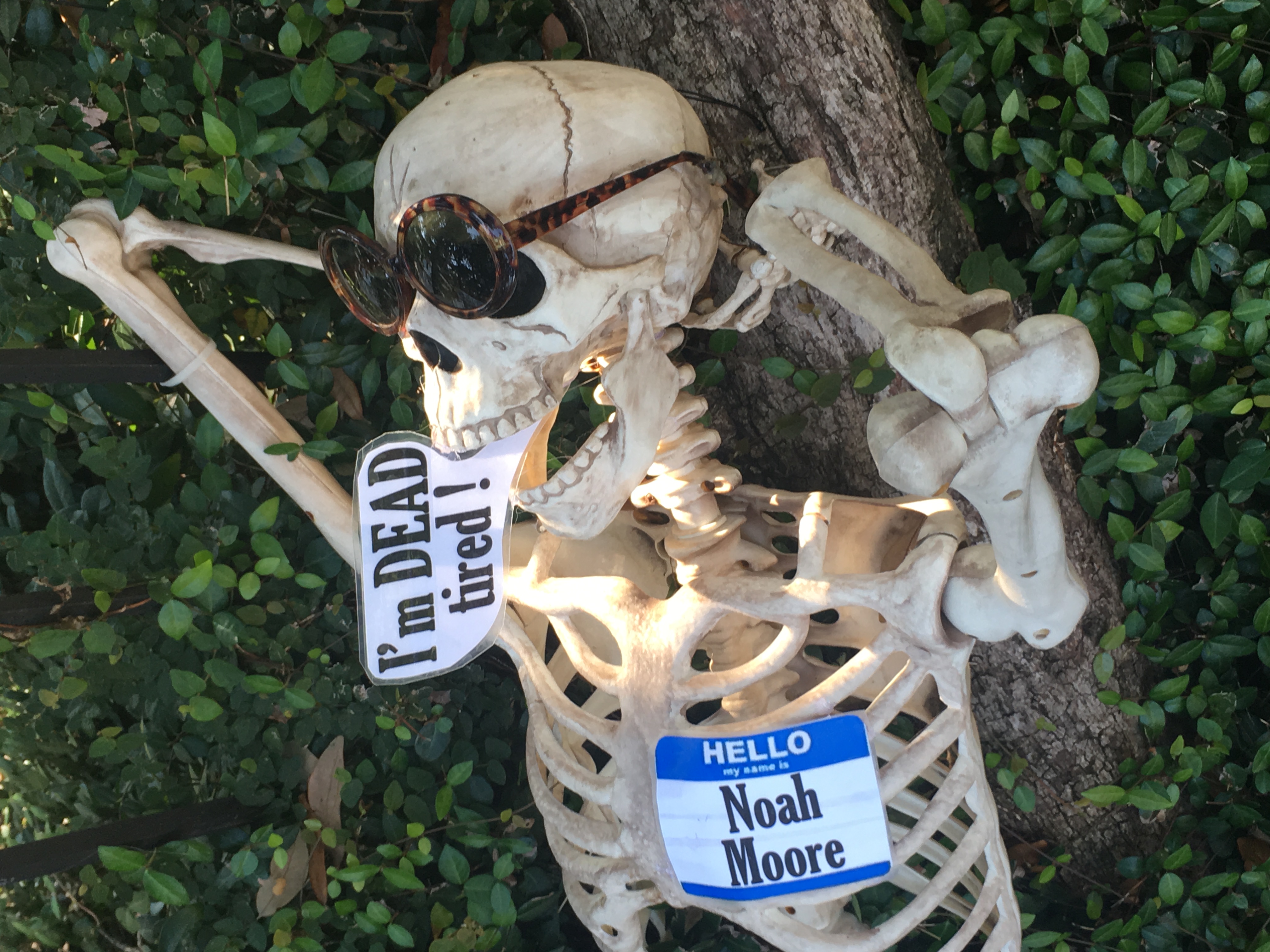 Halloween in NOLA… It’s kind of a Big Deal.